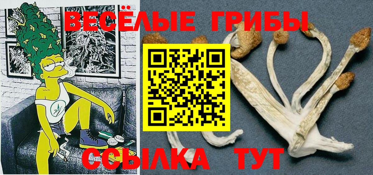 Галлюциногенные грибы Psilocybe Губаха