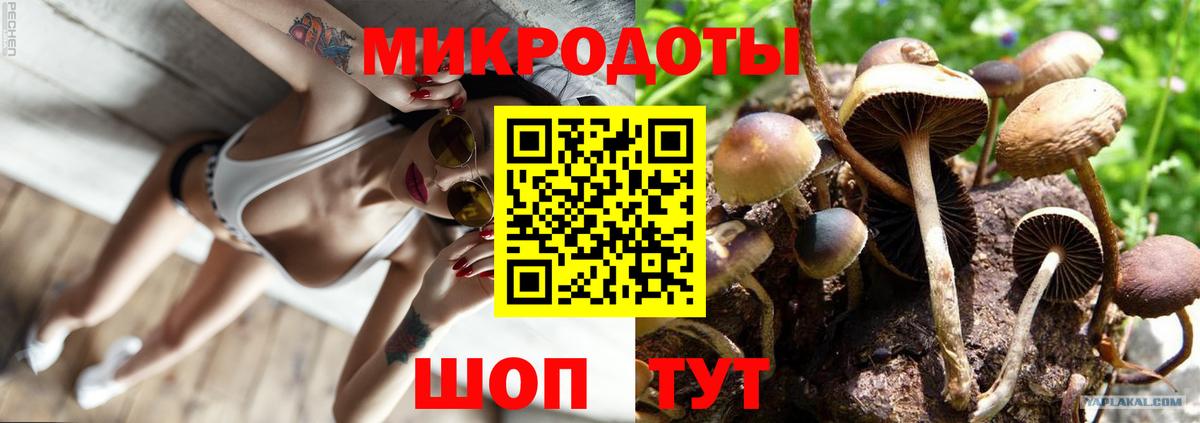 Галлюциногенные грибы Cubensis  Вход с VPN  Губаха 